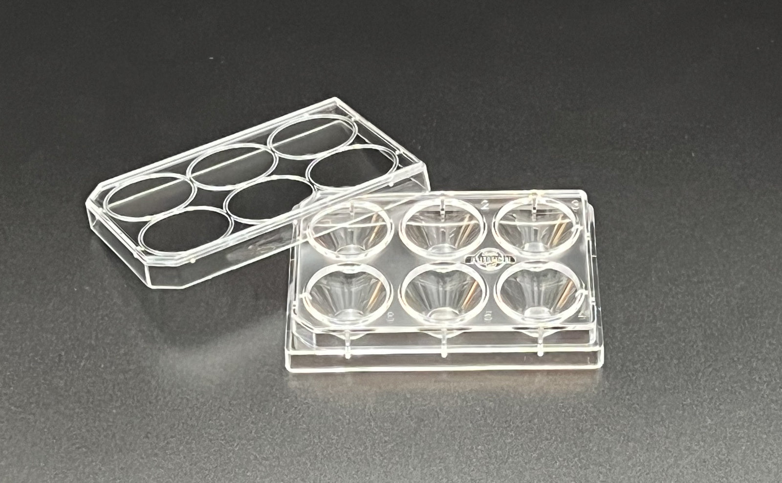 Solution™ Dish, 6 Well, w/Lid, Individually Wrapped, 10/pk