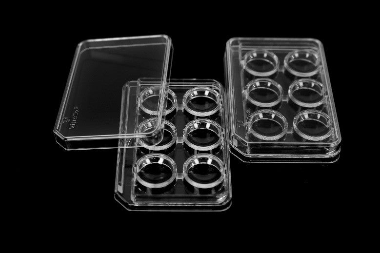 6-well dish with lid for vitrification, 4/pack