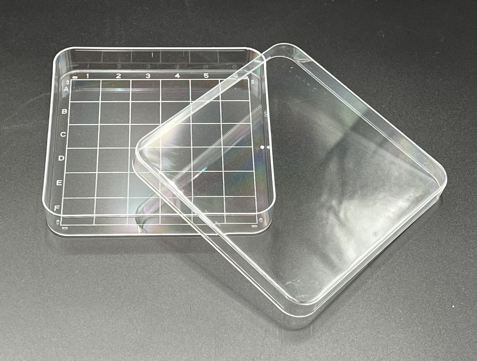 Dish w/Lid, Grid Search, Square, 100mm, Sterile, 10/pk