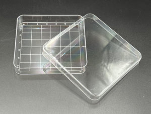 Dish w/Lid, Grid Search, Square, 100mm, Sterile, 10/pk