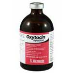 Oxytocin, 100 ml, each