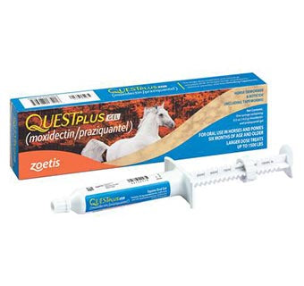 QUEST® Plus Oral Gel, Equine, 14.4g, 1 Dose, Each