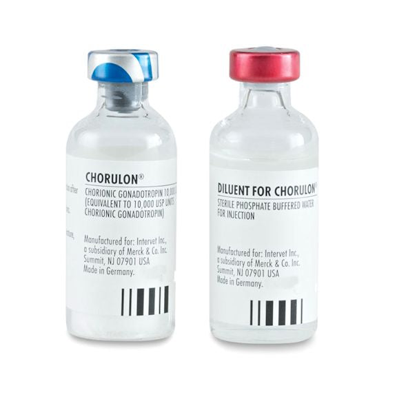 Chorulon, 5 x 10ml, Each