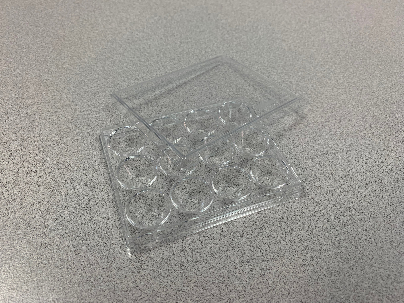 Solution™ Dish, For Trypsin and IVF, 12-Well, w/Lid, 10/pk