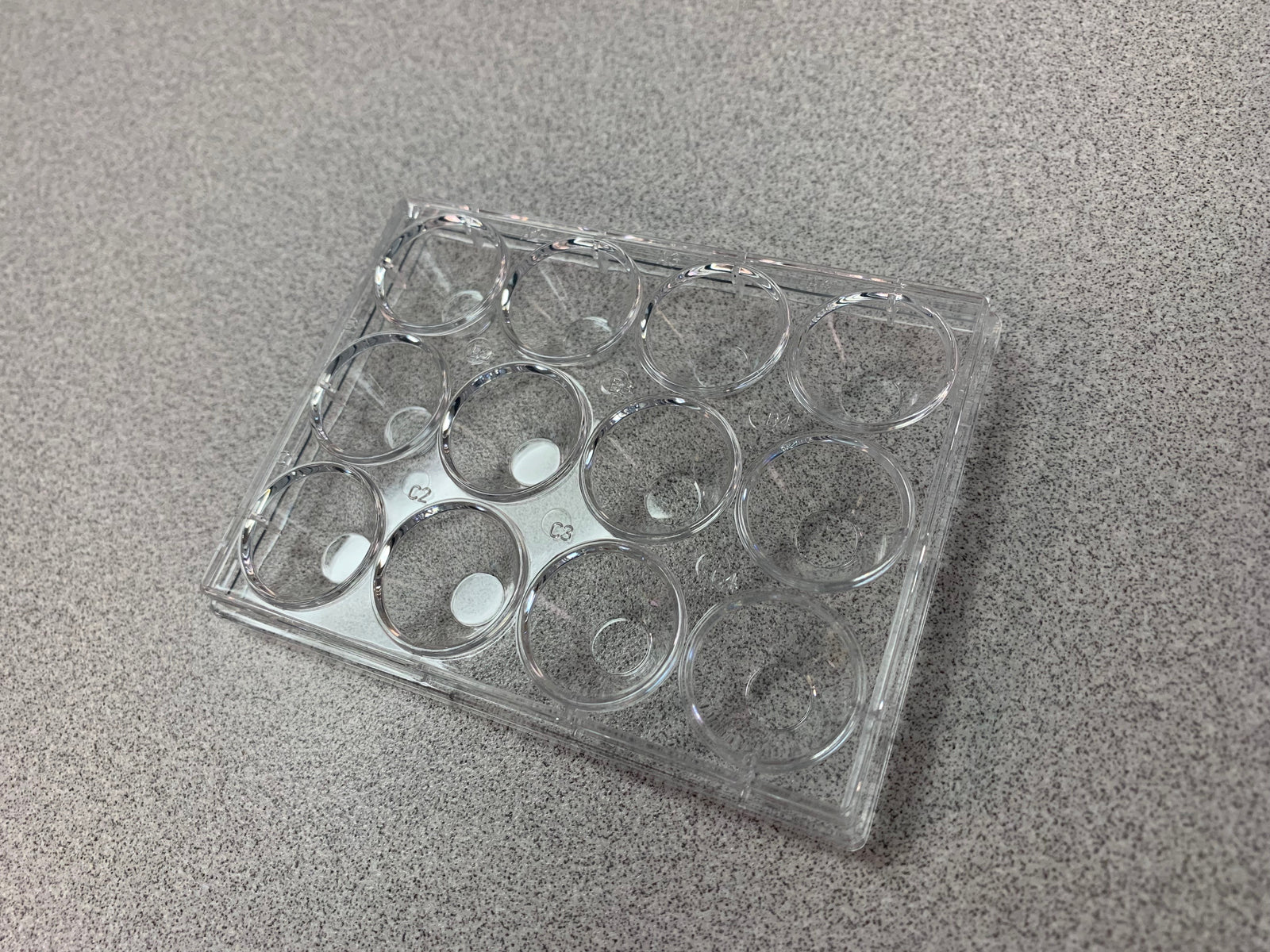 Solution™ Dish, For Trypsin and IVF, 12-Well, w/Lid, 10/pk