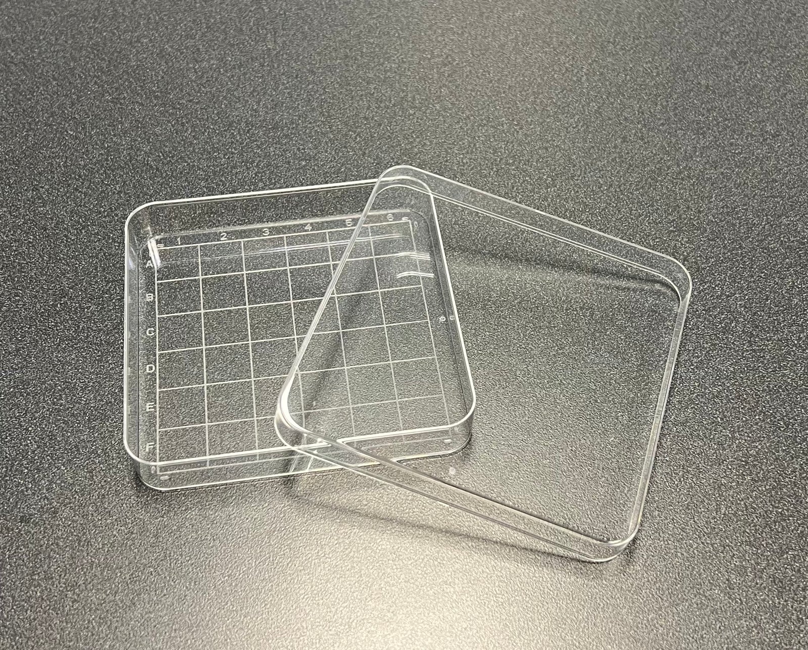 Dish w/Lid, Grid Search, Square, 100mm, Sterile, 10/pk